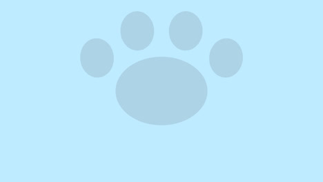 Popup-paw-Transitions.-1080p---30-fps---Alpha-Channel-(7)